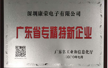 廣東省專精特新企業(yè)證書(shū)